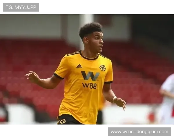 诺丁汉森林轻取马尔默,吉布斯-怀特中场表现关键 诺丁汉森林轻取马尔默,吉布斯-怀特中场表现关键