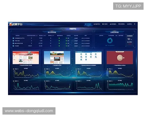 体育产业信息化平台增强数据可视化