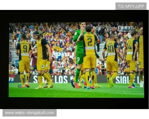 欧冠官方APP升级,VR观赛功能引入沉浸式体验 欧冠官方APP升级,VR观赛功能引入沉浸式体验