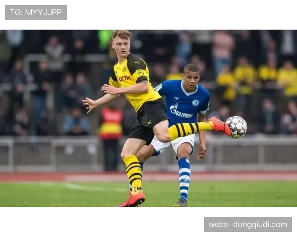 官方：沙尔克04后卫马利克-蒂奥因膝伤赛季报销